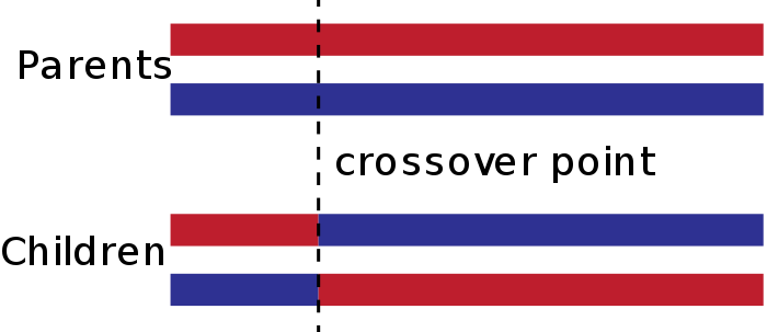 Single-point crossover
