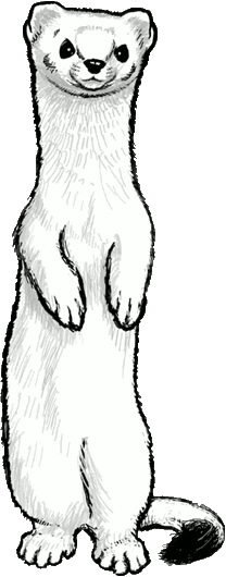Methinks it is like a weasel